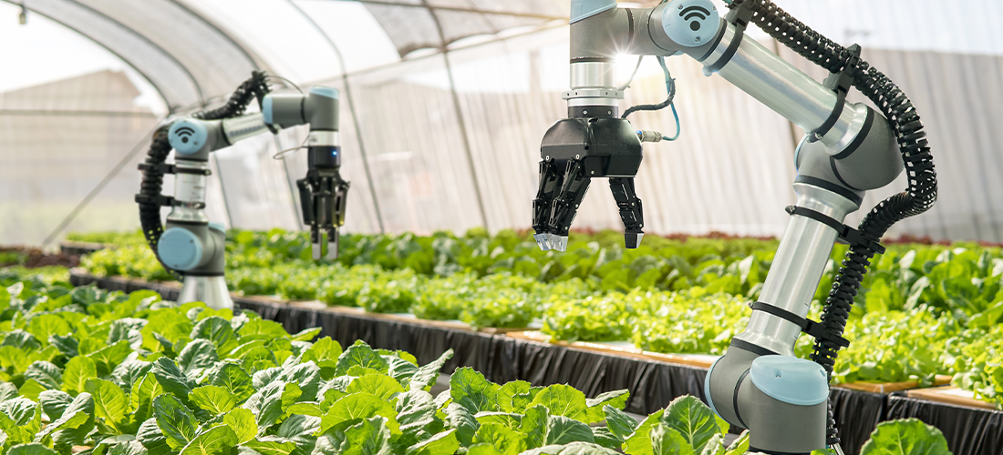 La inteligencia artificial en la agricultura 