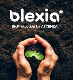 Blexia, les bioprotection par ascenza