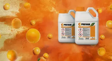 prevam_plus_hm_es