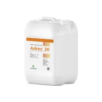 MOCKUP_ADREX