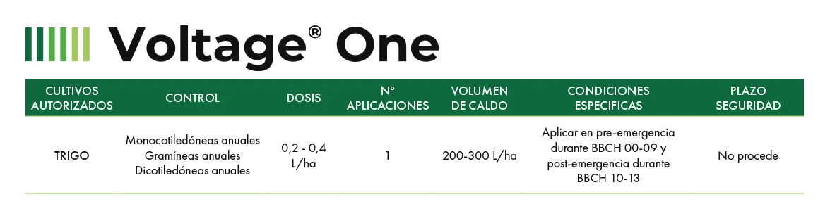 Voltage One