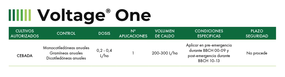 Voltage One