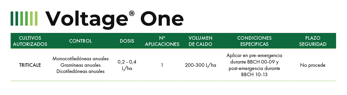 Voltage One